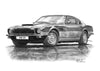 Aston Martin AMV8 & AMV8 Volante