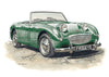 Austin Healey Frogeye Sprite