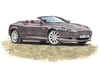Aston Martin DB9 & Rapide