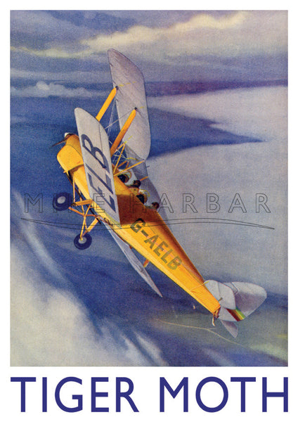 Tiger Moth Poster