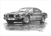 Aston Martin AMV8 & AMV8 Volante