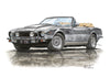 Aston Martin AMV8 & AMV8 Volante