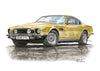 Aston Martin AMV8 & AMV8 Volante