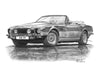 Aston Martin AMV8 & AMV8 Volante