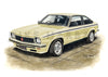 Holden Torana L34 A9X 2 & 4 Door and LX SS