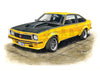 Holden Torana L34 A9X 2 & 4 Door and LX SS