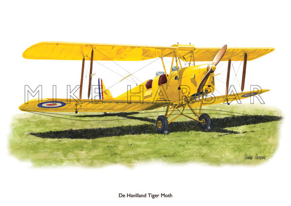 1930 Tiger Moth