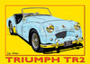 Triumph TR2 Yellow Poster